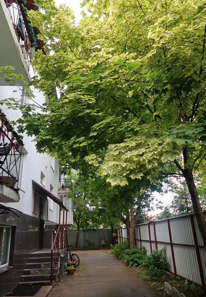 Квартира 3-комн., 60 м²