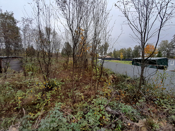 Участок 6 сот.